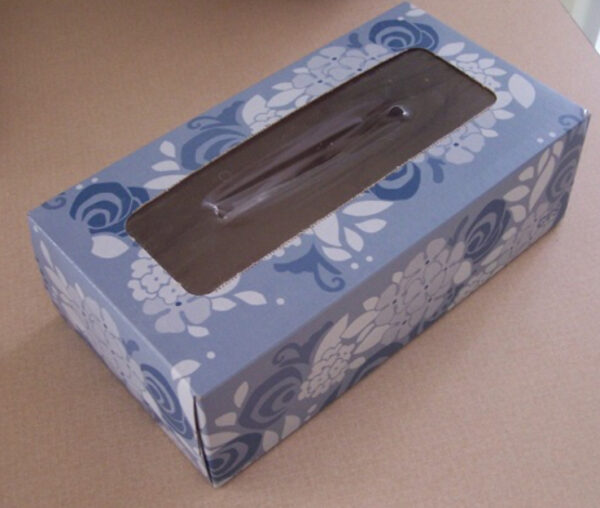 Empty Kleenex box